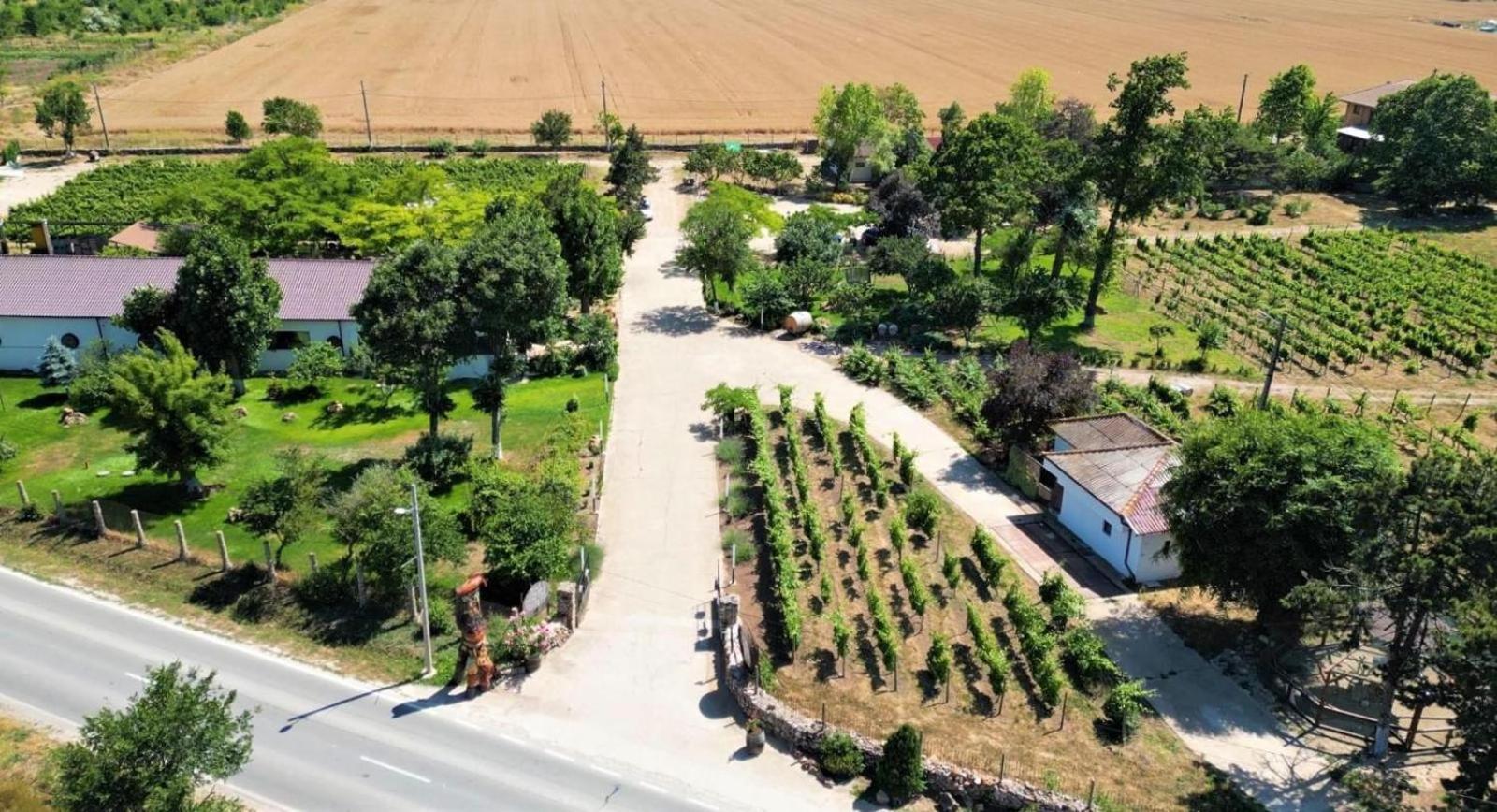 Domeniile Clos Des Colombes Douăzeci şi Trei August Екстериор снимка